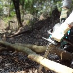 山を守る。微力ながら。