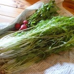 平和な平日午前