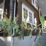 来春の楽しみ☆