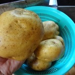 新メニュー　カナマロン流ビシソワーズ（冷）