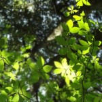 ☆一人の時間☆